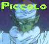 Piccolo Pics