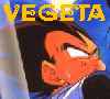 Vegeta Pics